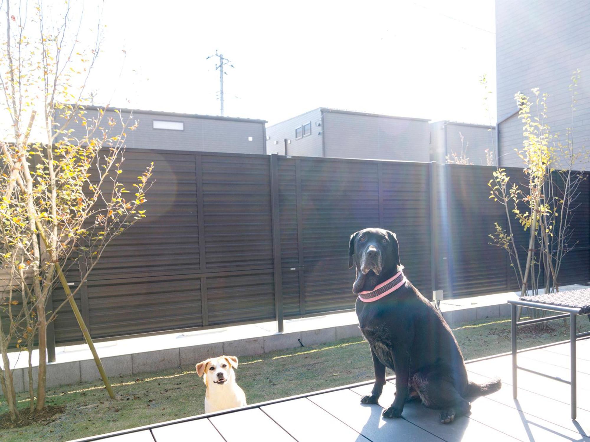 Rakuten Stay Fuji Kawaguchiko Station Fujikawaguchiko Exteriör bild